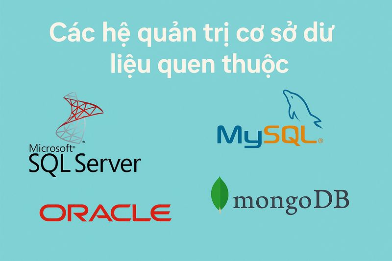 Hệ quản trị cơ sở dữ liệu là gì